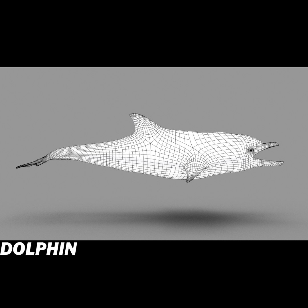 shark sea animals 3d max https://p.turbosquid.com/ts-thumb/eF/2U6IBQ/h4o9vc7i/dolphing/jpg/1299626091/1920x1080/fit_q87/efde981946210edc0c711d2c326fd9f7914d0fa5/dolphing.jpg