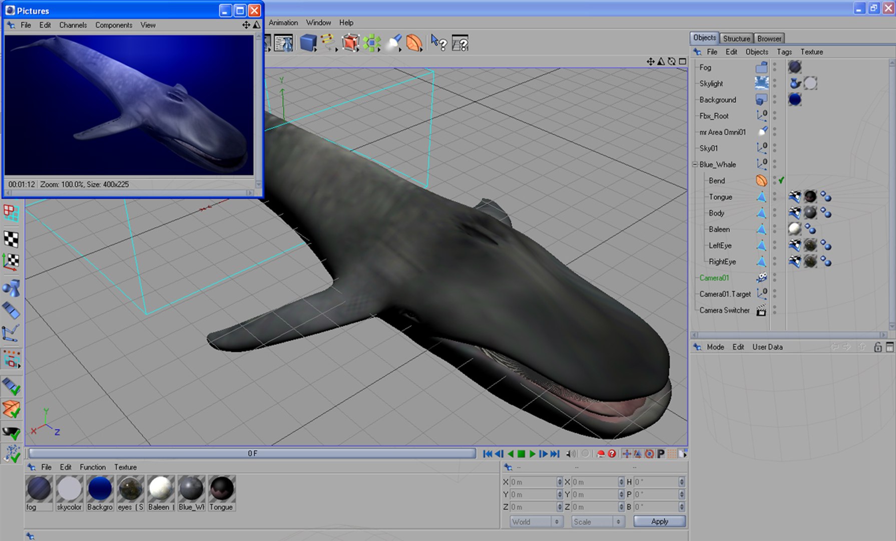 shark sea animals 3d max https://p.turbosquid.com/ts-thumb/eF/2U6IBQ/j88RDPZH/bluewhalez/jpg/1300474724/1920x1080/fit_q87/2f92804fd35387f70146257ea2237a8601e29bdb/bluewhalez.jpg