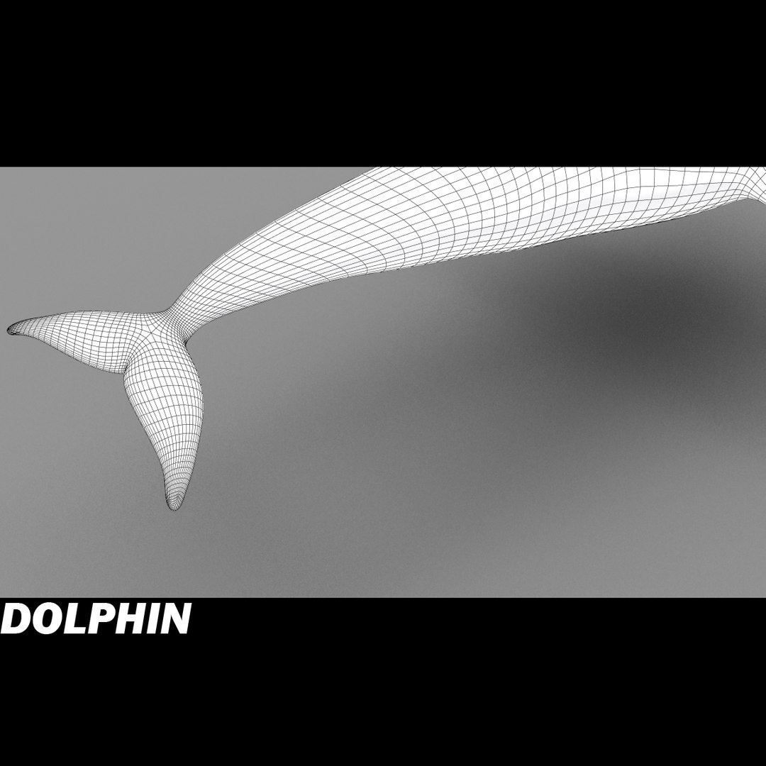 shark sea animals 3d max https://p.turbosquid.com/ts-thumb/eF/2U6IBQ/sPxQuuFO/dolphini/jpg/1299626091/1920x1080/fit_q87/536208c2557943445bd0996b8653271eb75425b2/dolphini.jpg