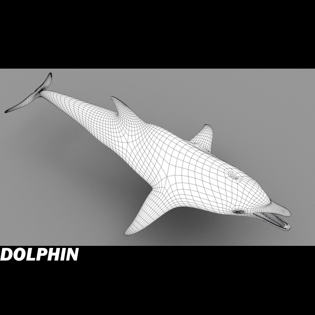 shark sea animals 3d max https://p.turbosquid.com/ts-thumb/eF/2U6IBQ/swqEndMS/dolphinh/jpg/1299626091/1920x1080/fit_q87/a1f3d636ebc10968a8b129488ee960549340f65a/dolphinh.jpg