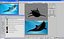 Seetiere Sammlung