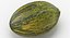 Melon Piel De Sapo 01