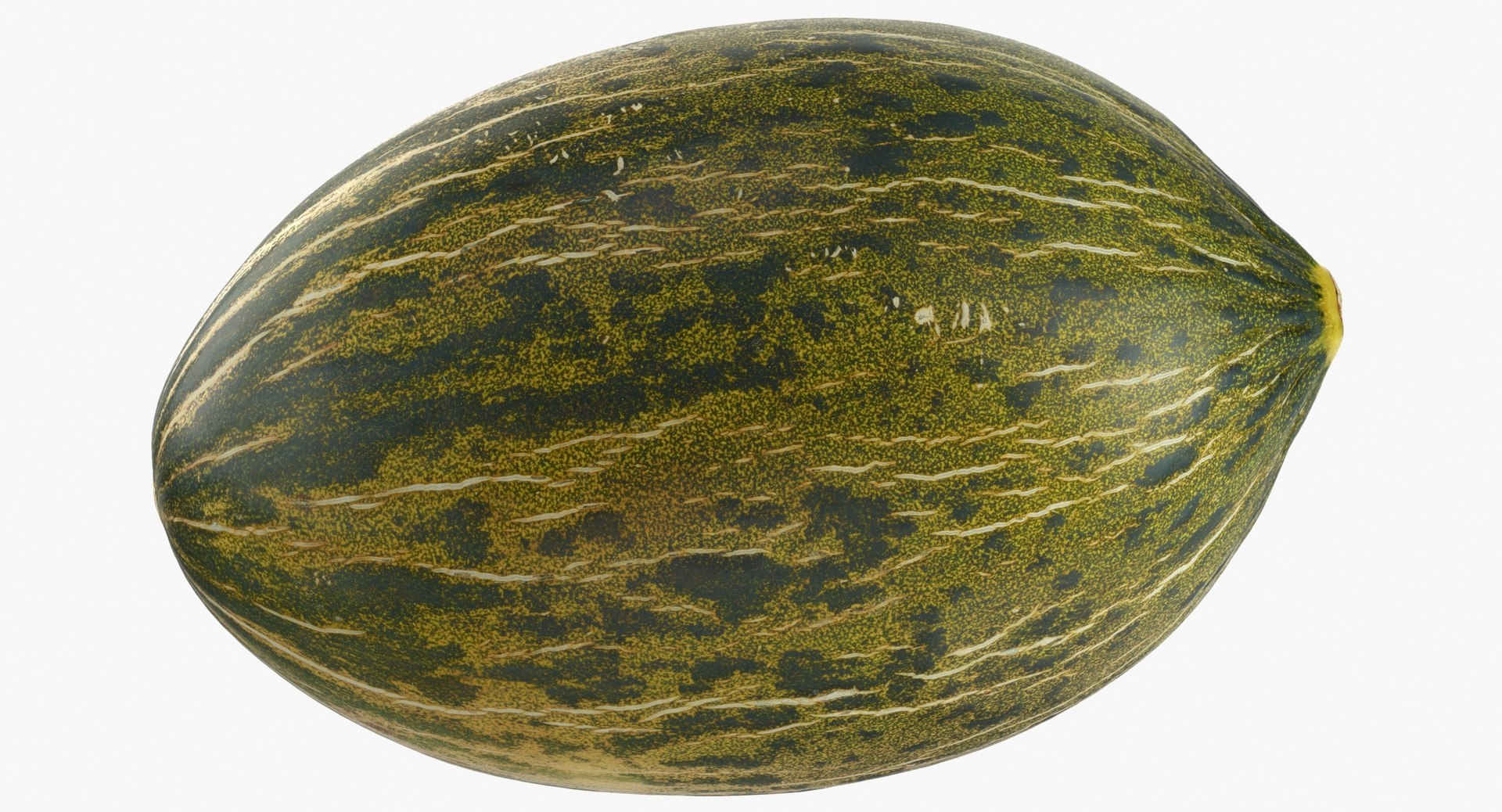 melon piel sapo 01 model https://p.turbosquid.com/ts-thumb/eF/34LPLc/Exj5ipY9/melon_piel_de_sapo_01_thumbnail_0008/jpg/1572620556/1920x1080/fit_q87/a181701bf7fc4f80677d5dca6f8308e813d414a9/melon_piel_de_sapo_01_thumbnail_0008.jpg