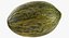 Melon Piel De Sapo 01