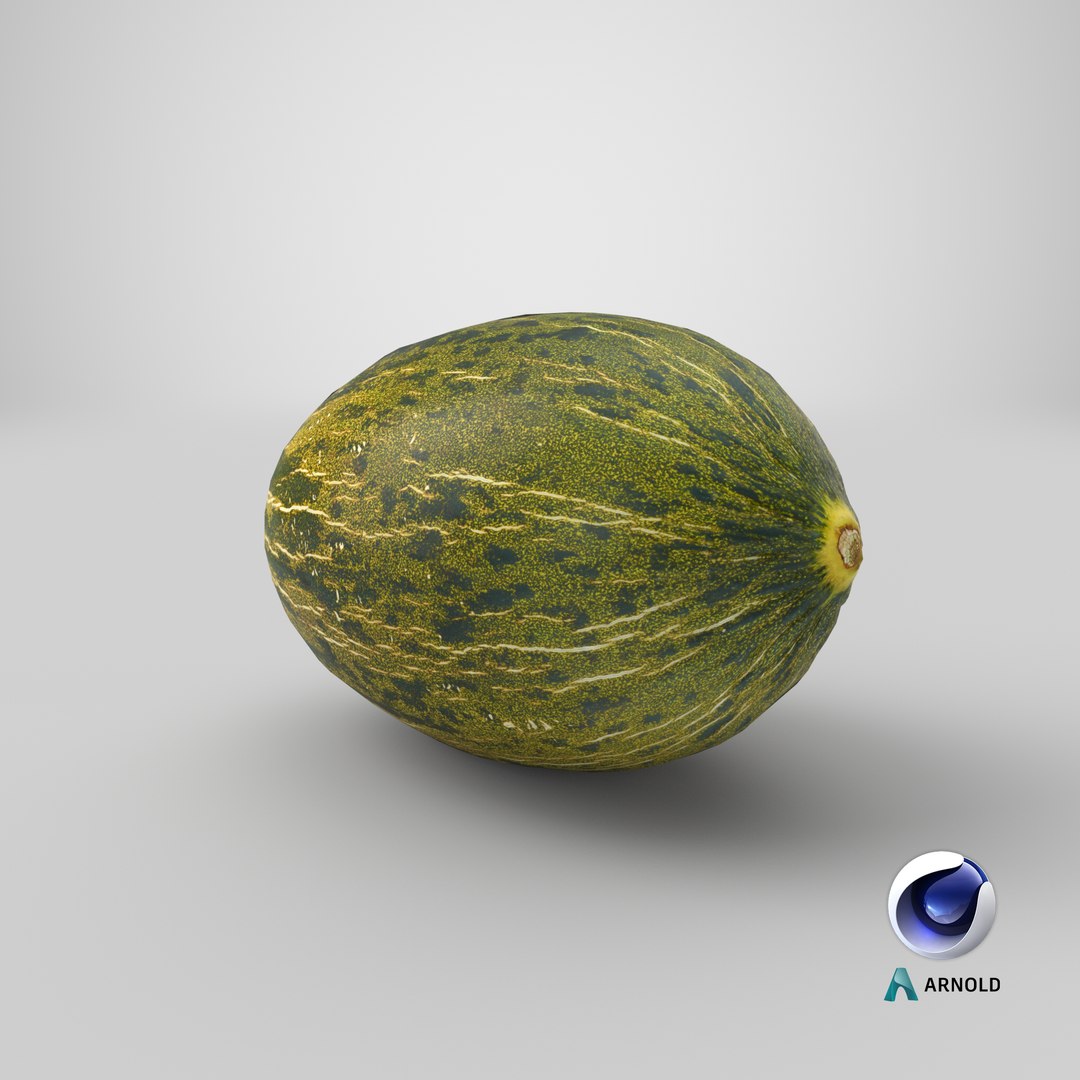 melon piel sapo 01 model https://p.turbosquid.com/ts-thumb/eF/34LPLc/LMqrjHob/stemcell_cinema_4d_arnold_render/png/1573114433/1920x1080/fit_q87/71e9878484059eaf26eb77c0bdfe2f7573bcfcbe/stemcell_cinema_4d_arnold_render.jpg