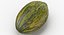Melon Piel De Sapo 01
