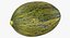 Melon Piel De Sapo 01