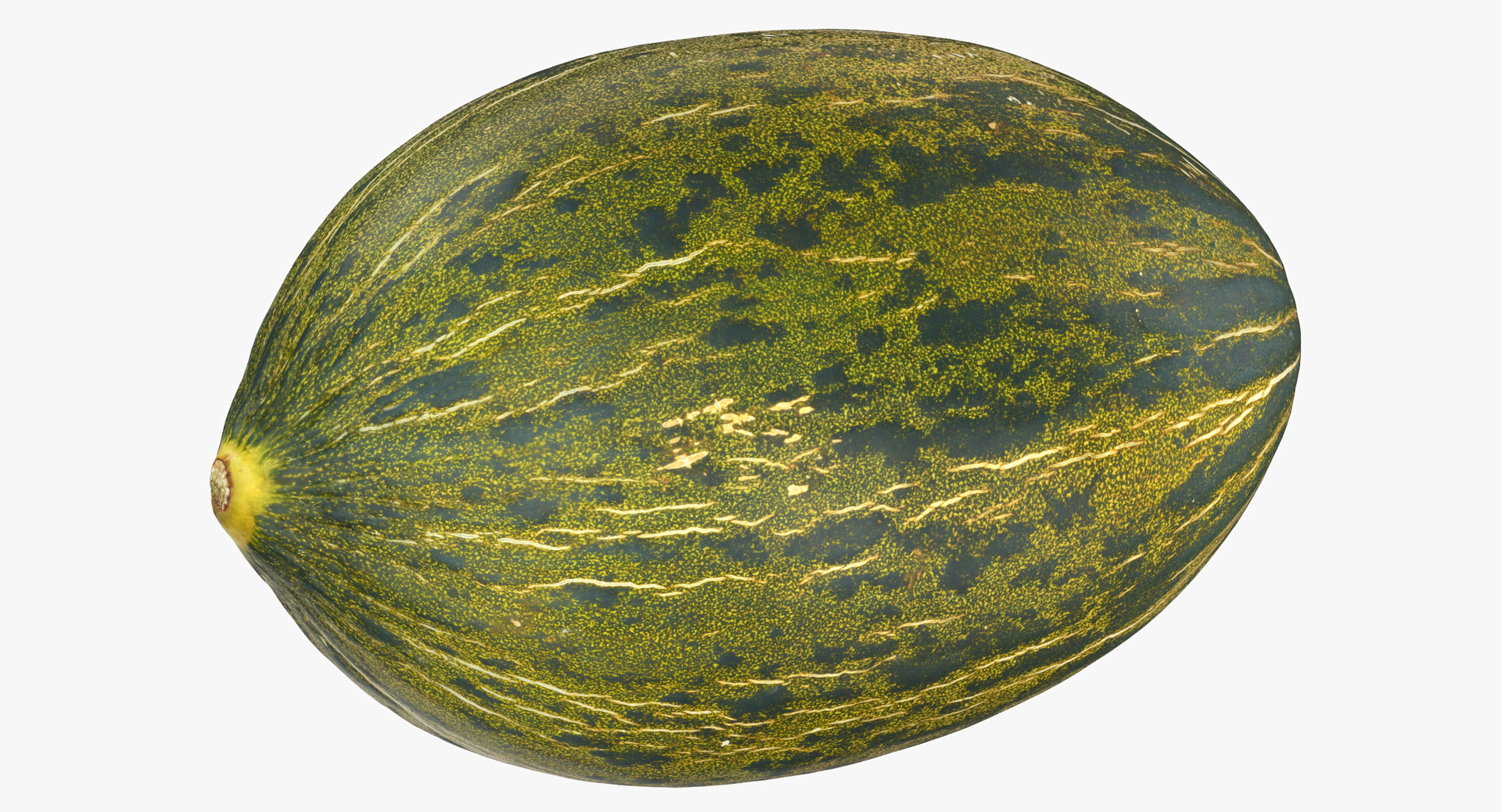 melon piel sapo 01 model https://p.turbosquid.com/ts-thumb/eF/34LPLc/QNKFdQ3S/0000/jpg/1572620728/1920x1080/turn_fit_q99/ab41a0237ea3bfd1adae5c41621ebac9f02da4d5/0000-1.jpg