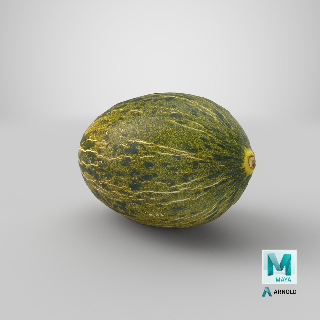 melon piel sapo 01 model https://p.turbosquid.com/ts-thumb/eF/34LPLc/ZfHJkQIp/stemcell_maya_arnold_render/png/1573114451/1920x1080/fit_q87/46da50d5d0724c068ab7f57a9fbe112b3c35e469/stemcell_maya_arnold_render.jpg