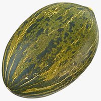Melon Piel De Sapo 01