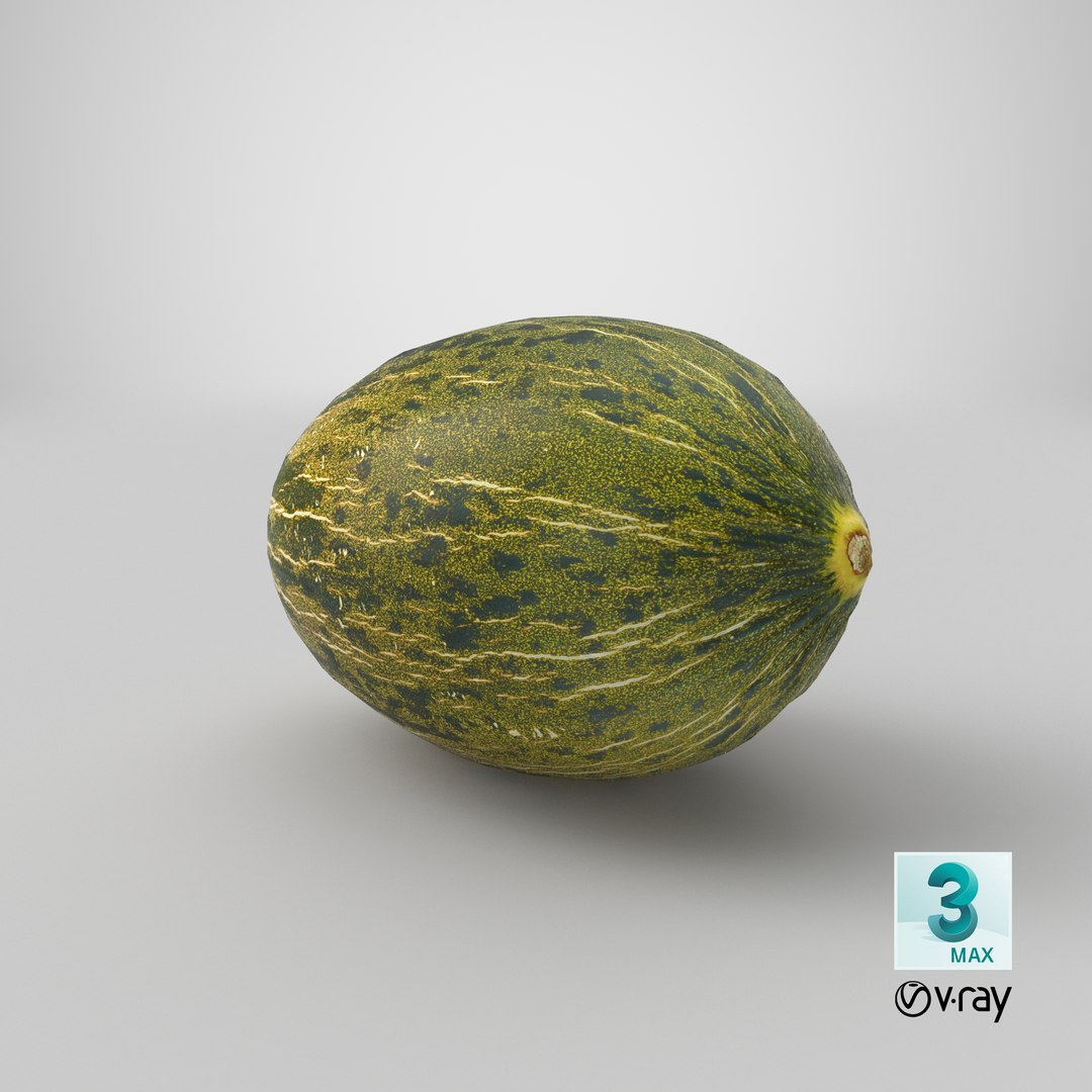 melon piel sapo 01 model https://p.turbosquid.com/ts-thumb/eF/34LPLc/hBgQxyxG/stemcell_max_vray_render/png/1573114446/1920x1080/fit_q87/a843e3e9a1f7a573b5928f869d4793c0ec352ee7/stemcell_max_vray_render.jpg
