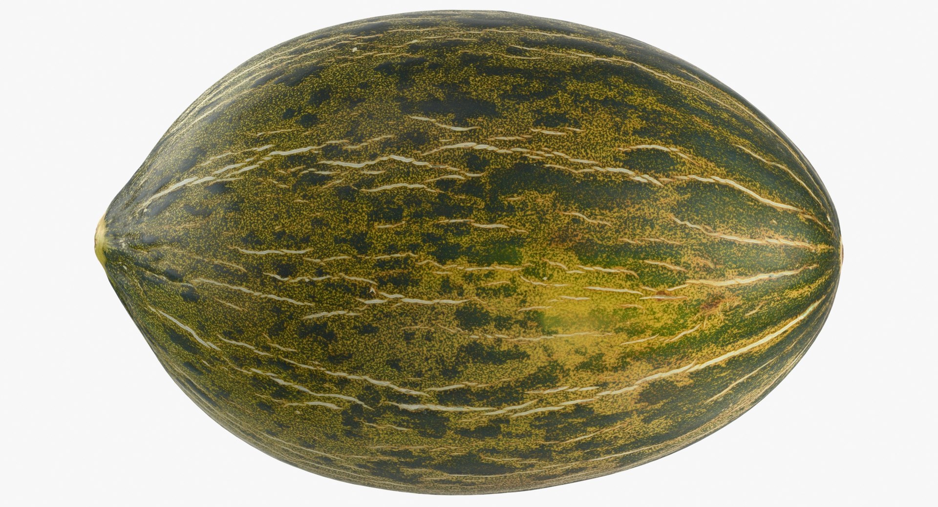 melon piel sapo 01 model https://p.turbosquid.com/ts-thumb/eF/34LPLc/j5QZnc9a/melon_piel_de_sapo_01_thumbnail_0007/jpg/1572620556/1920x1080/fit_q87/f77e535703f7780d964b2ec88ff3a9ecba595659/melon_piel_de_sapo_01_thumbnail_0007.jpg