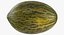 Melon Piel De Sapo 01