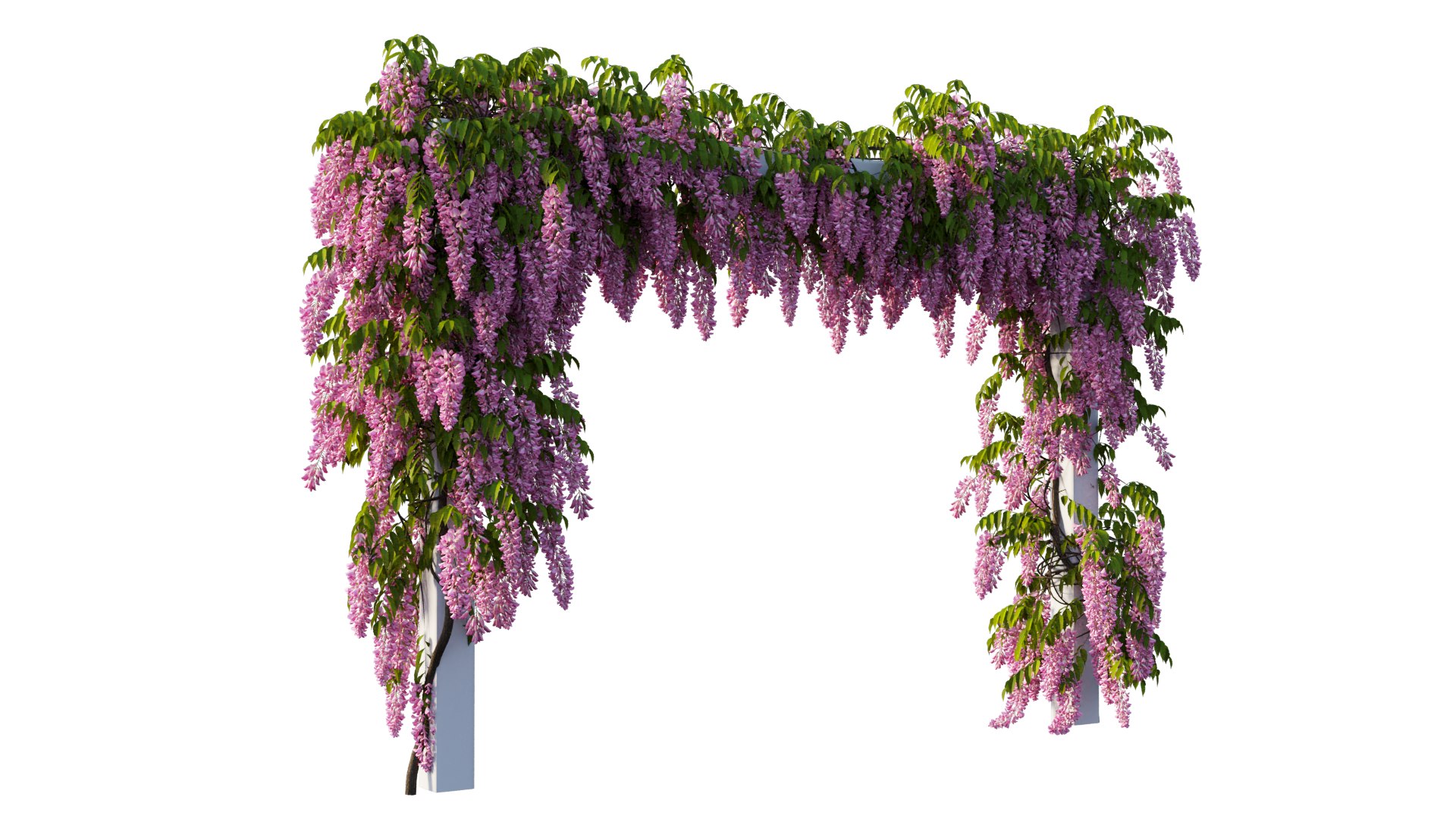 3D tree 11 https://p.turbosquid.com/ts-thumb/eF/3M85Si/48/6_interactivelightmix/png/1607412248/1920x1080/fit_q87/7c5e38100158c68a1a07b93effa254126a04ed5b/6_interactivelightmix.jpg