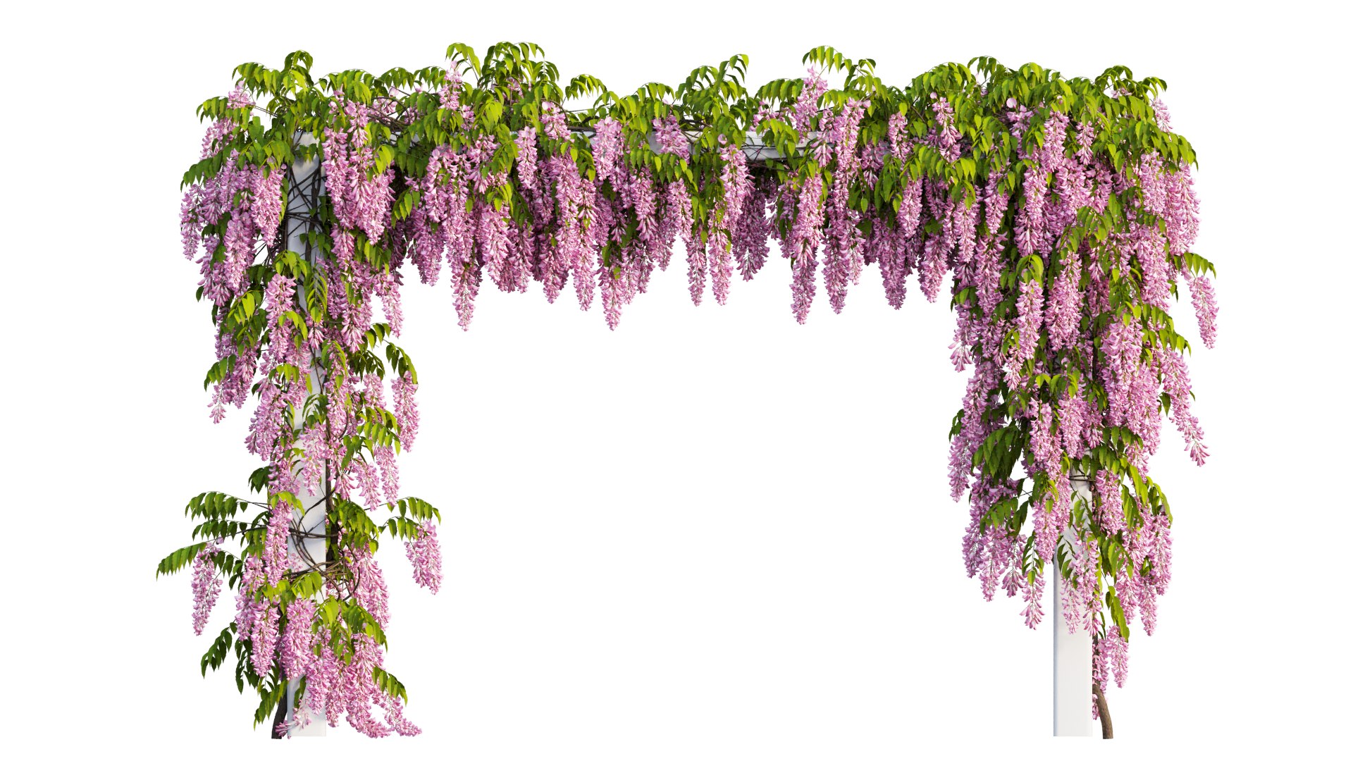 3D tree 11 https://p.turbosquid.com/ts-thumb/eF/3M85Si/7s/10_interactivelightmix/png/1607412251/1920x1080/fit_q87/786f8cfe24f08db5bfc464907d8518cab6e0ff8d/10_interactivelightmix.jpg