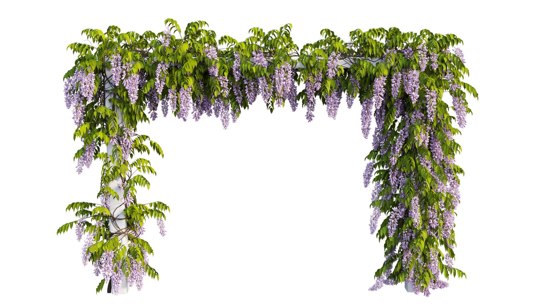 3D tree 11 https://p.turbosquid.com/ts-thumb/eF/3M85Si/Mq/4_interactivelightmix/png/1607412251/1920x1080/fit_q87/701a3f684d33bad49774c063ef17fa491a2f4524/4_interactivelightmix.jpg