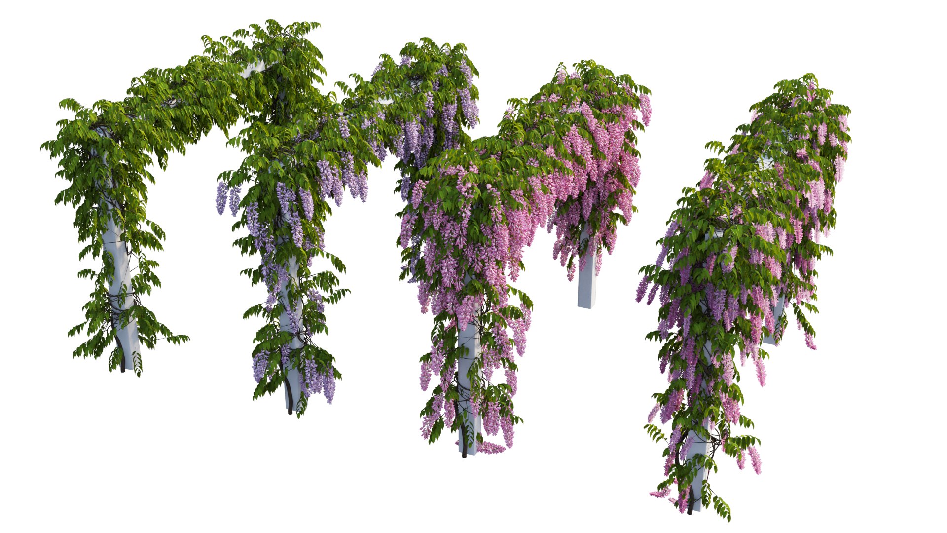 3D tree 11 https://p.turbosquid.com/ts-thumb/eF/3M85Si/VQ/2_interactivelightmix/png/1607412247/1920x1080/fit_q87/381fef9060801c1e70e851be05c93e6fc199aaad/2_interactivelightmix.jpg