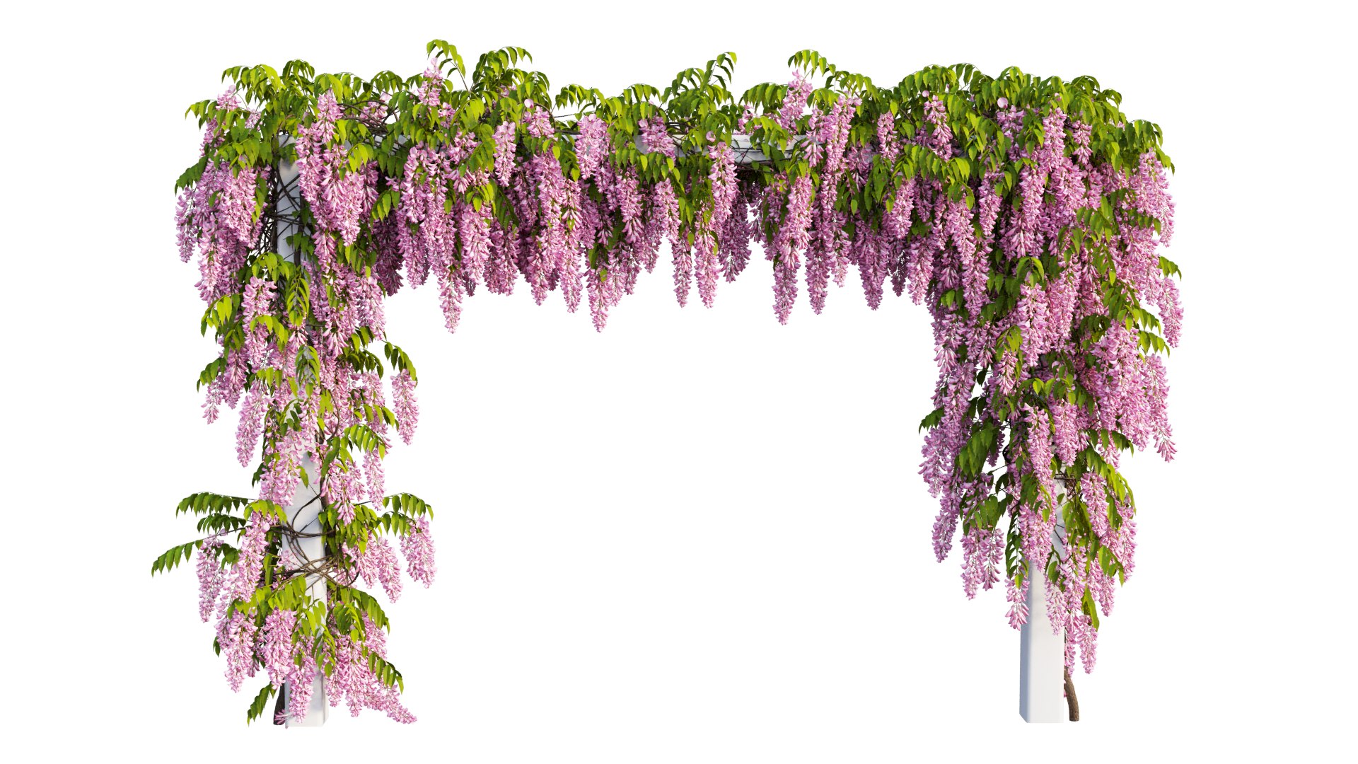 3D tree 11 https://p.turbosquid.com/ts-thumb/eF/3M85Si/dK/5_interactivelightmix/png/1607412248/1920x1080/fit_q87/cf2a6889410ae943b1487f28f93c38f496969318/5_interactivelightmix.jpg