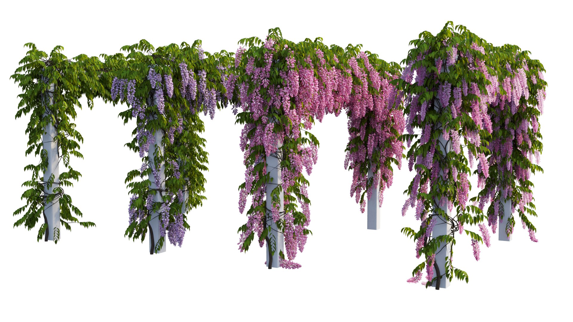 3D tree 11 https://p.turbosquid.com/ts-thumb/eF/3M85Si/t9/1_interactivelightmix/png/1607412246/1920x1080/fit_q87/3bc89bb93b7dc0d8d1446aaa36926d9776a0e2f0/1_interactivelightmix.jpg