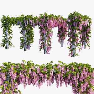 Wisterial tree 11