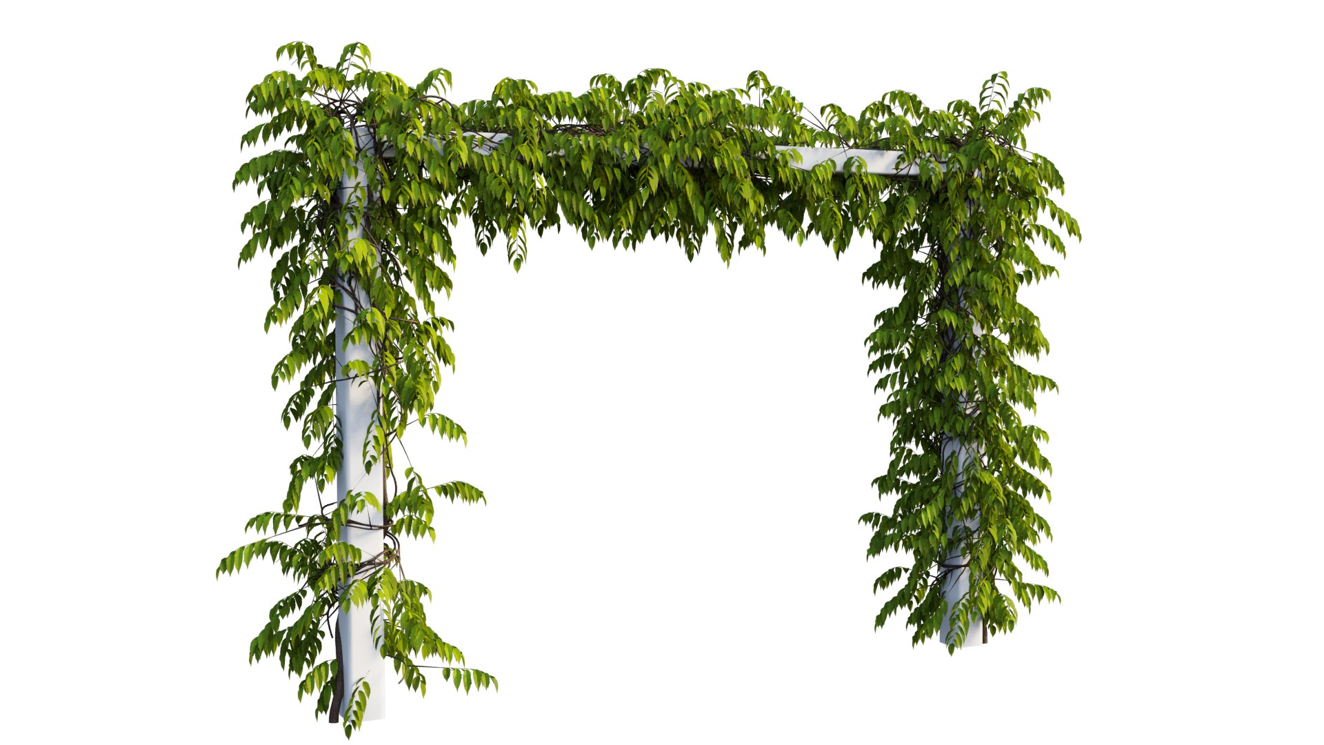 3D tree 11 https://p.turbosquid.com/ts-thumb/eF/3M85Si/zr/3_interactivelightmix/png/1607412247/1920x1080/fit_q87/cee7246cb1fdb9c1f12b2624ef1a4c7925af9cee/3_interactivelightmix.jpg