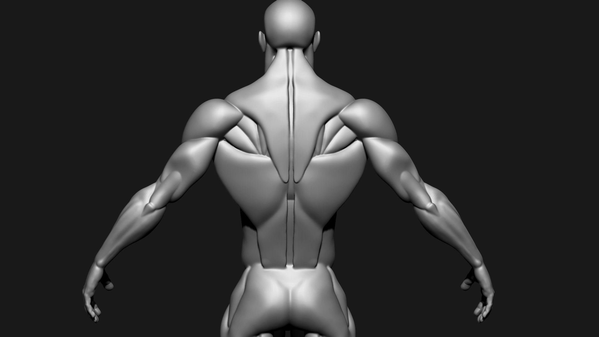 Stylized Human Body 3D Model - TurboSquid 2305490
