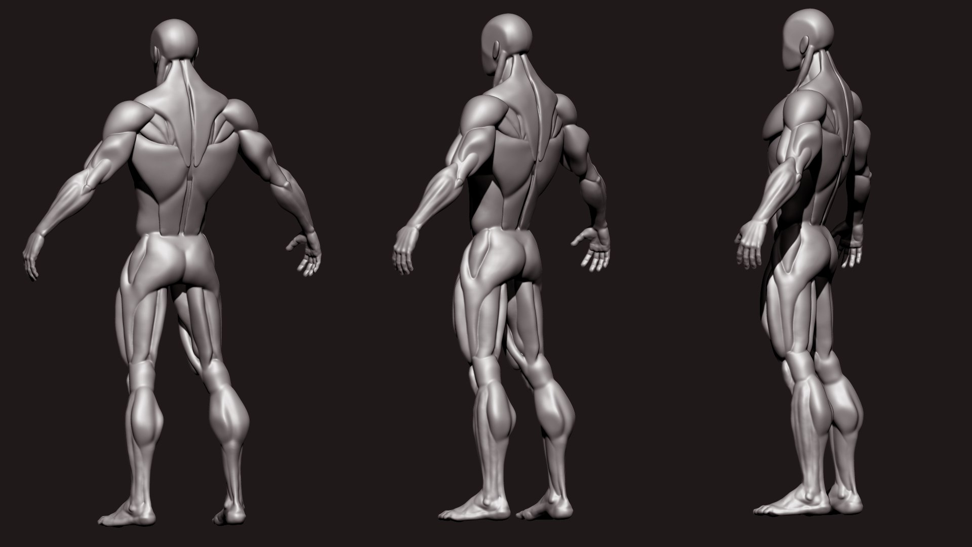Stylized Human Body 3D Model - TurboSquid 2305490