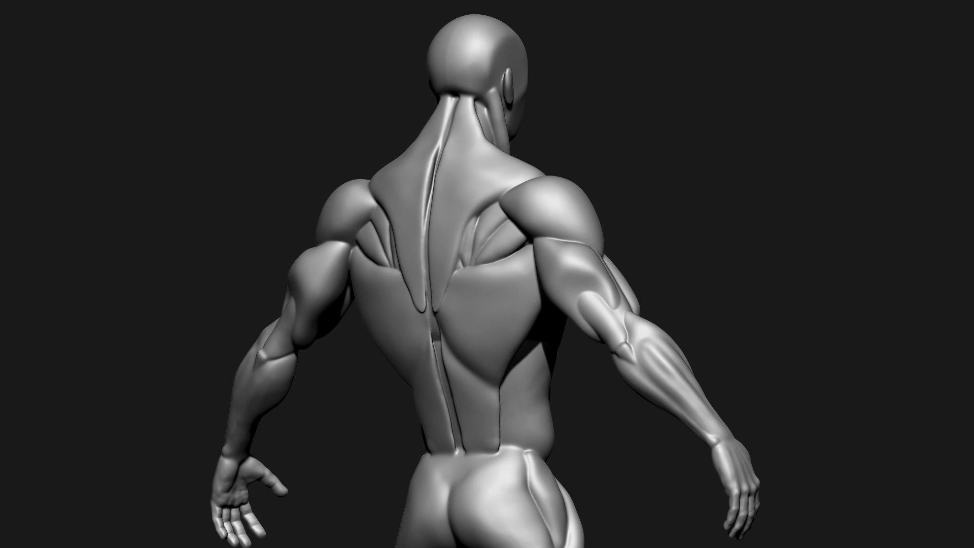 Stylized Human Body 3D Model - TurboSquid 2305490