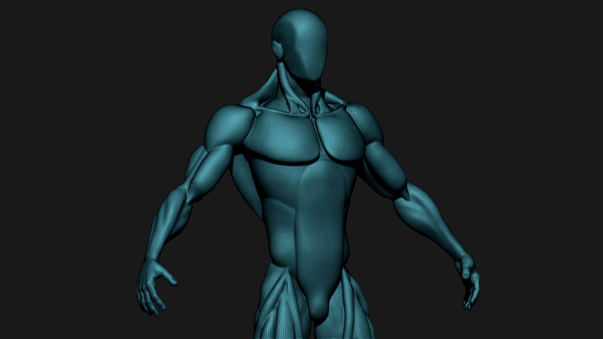 Stylized Human Body 3D Model - TurboSquid 2305490