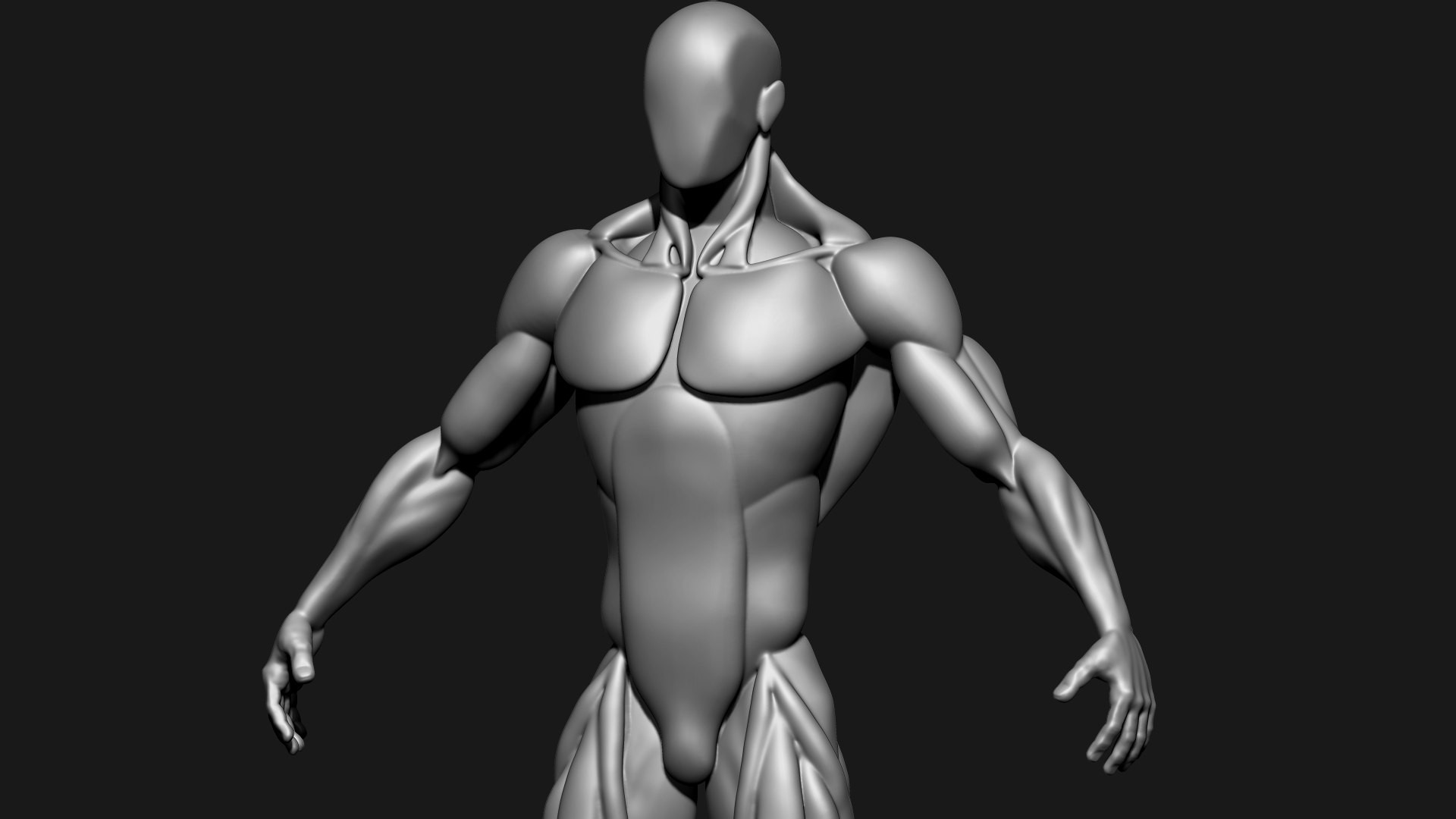 Stylized Human Body 3D Model - TurboSquid 2305490