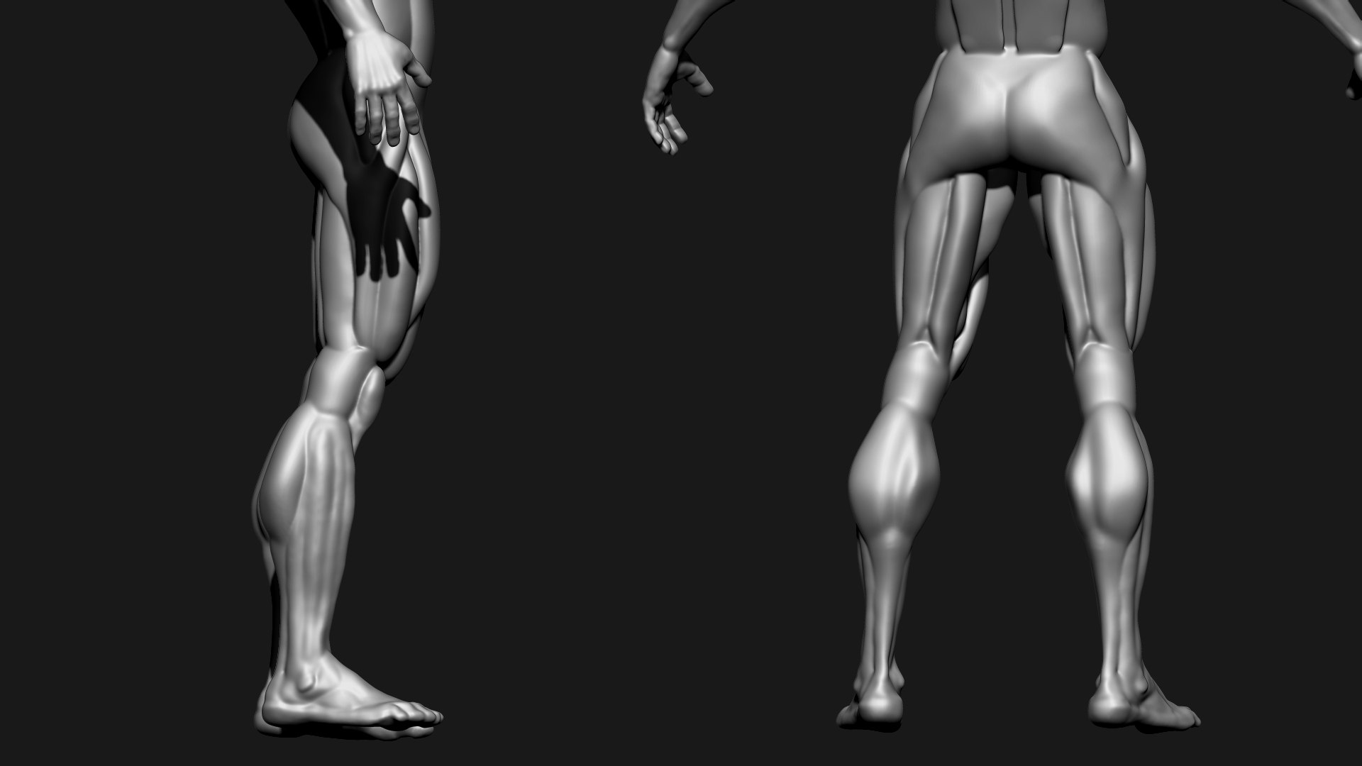 Stylized Human Body 3D Model - TurboSquid 2305490