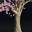 東アジアチェリー vol 239