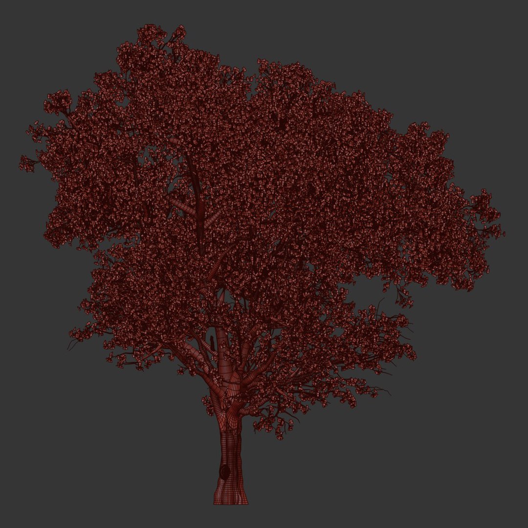 3D East Asian Cherry vol 239 model https://p.turbosquid.com/ts-thumb/eF/O3SPo5/wL/7/jpg/1700833865/1920x1080/fit_q87/0f924b7d491b8e821fe60a3946025b16805373a0/7.jpg