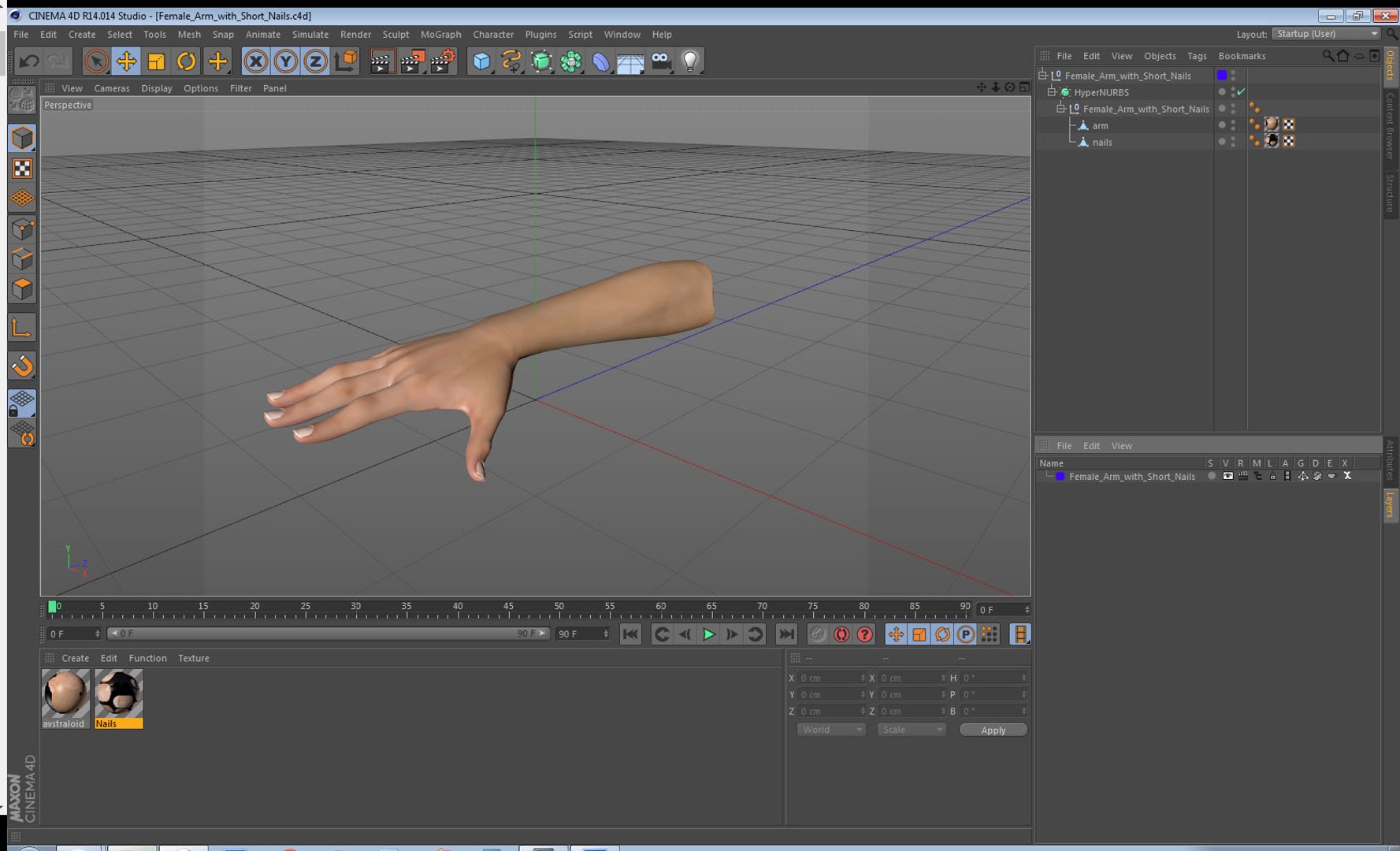 3D female arm short nails model https://p.turbosquid.com/ts-thumb/eF/PGEGst/E7DsudlW/femalearmwithshortnails3dsmodel017/jpg/1554946952/1920x1080/fit_q87/817f810ac0c9eb0fd630be4695e39e52d537604e/femalearmwithshortnails3dsmodel017.jpg