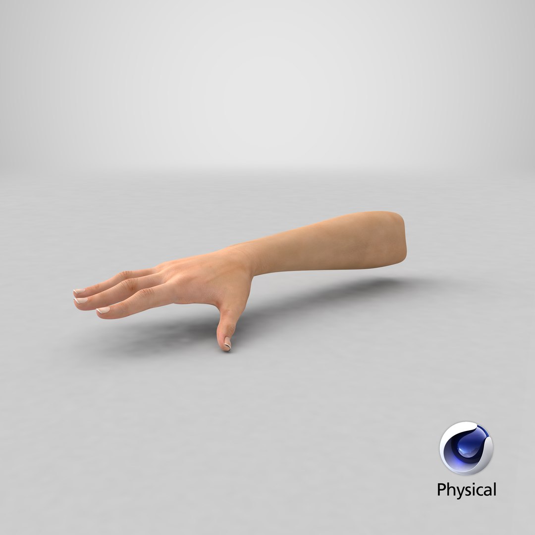 3D female arm short nails model https://p.turbosquid.com/ts-thumb/eF/PGEGst/bca21xpH/stemcell_cinema_4d_physical_render/png/1560701028/1920x1080/fit_q87/6cf69d7a90ce13d7e097ea2117d479424b11655d/stemcell_cinema_4d_physical_render.jpg