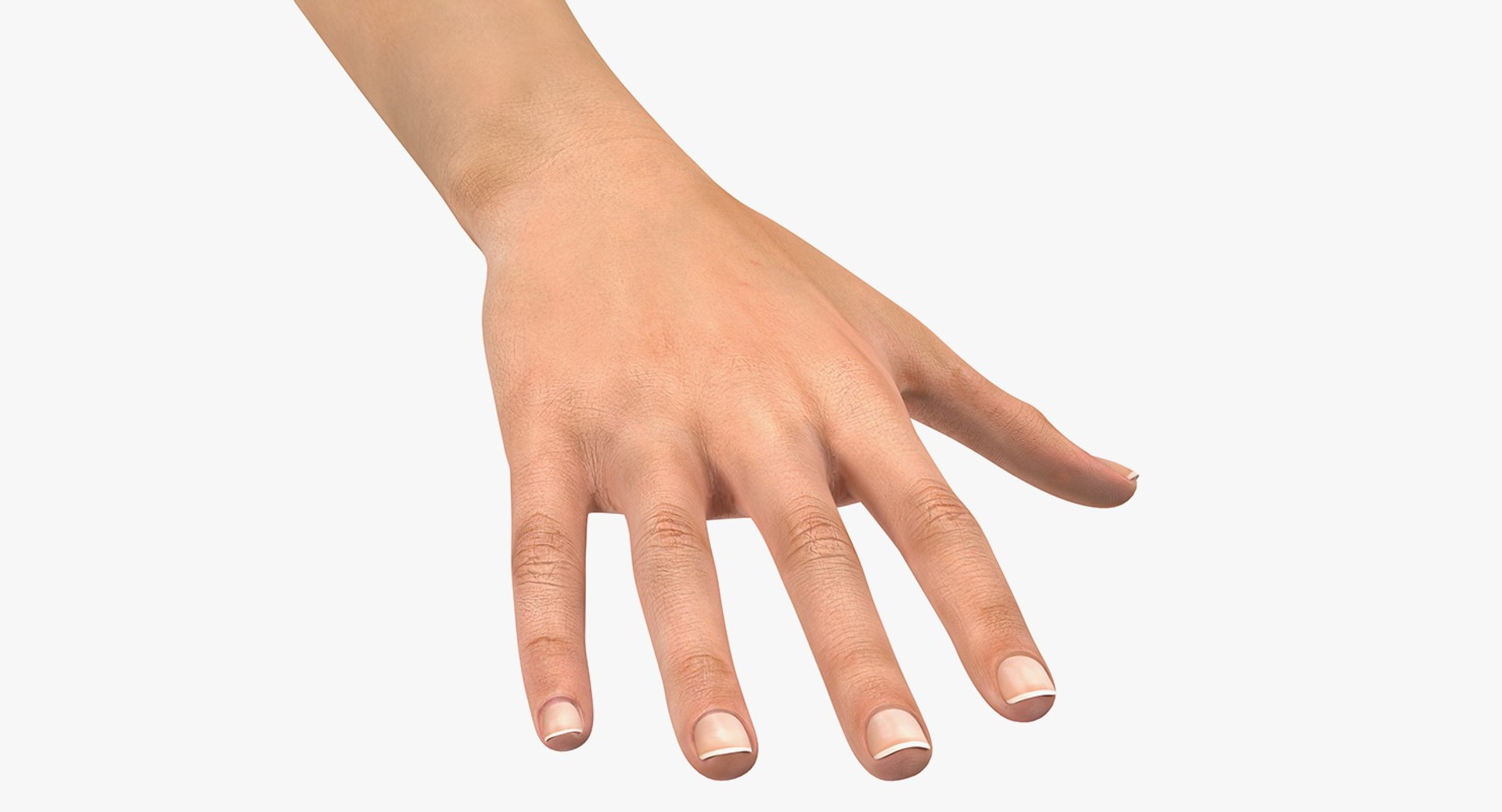 Female Arm with Short Nails 3D model preview