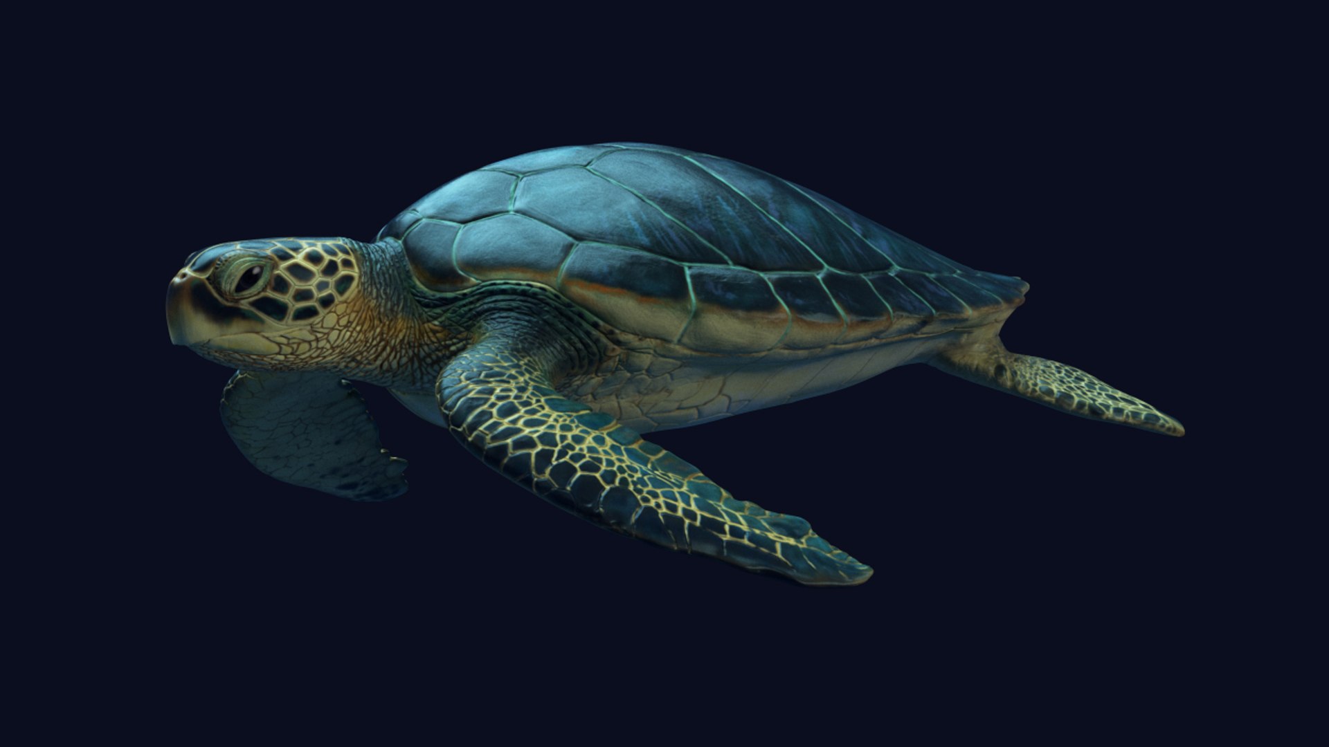 3D model photorealistic green sea turtle - TurboSquid 1222841