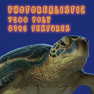 Photorealistic Green sea turtle