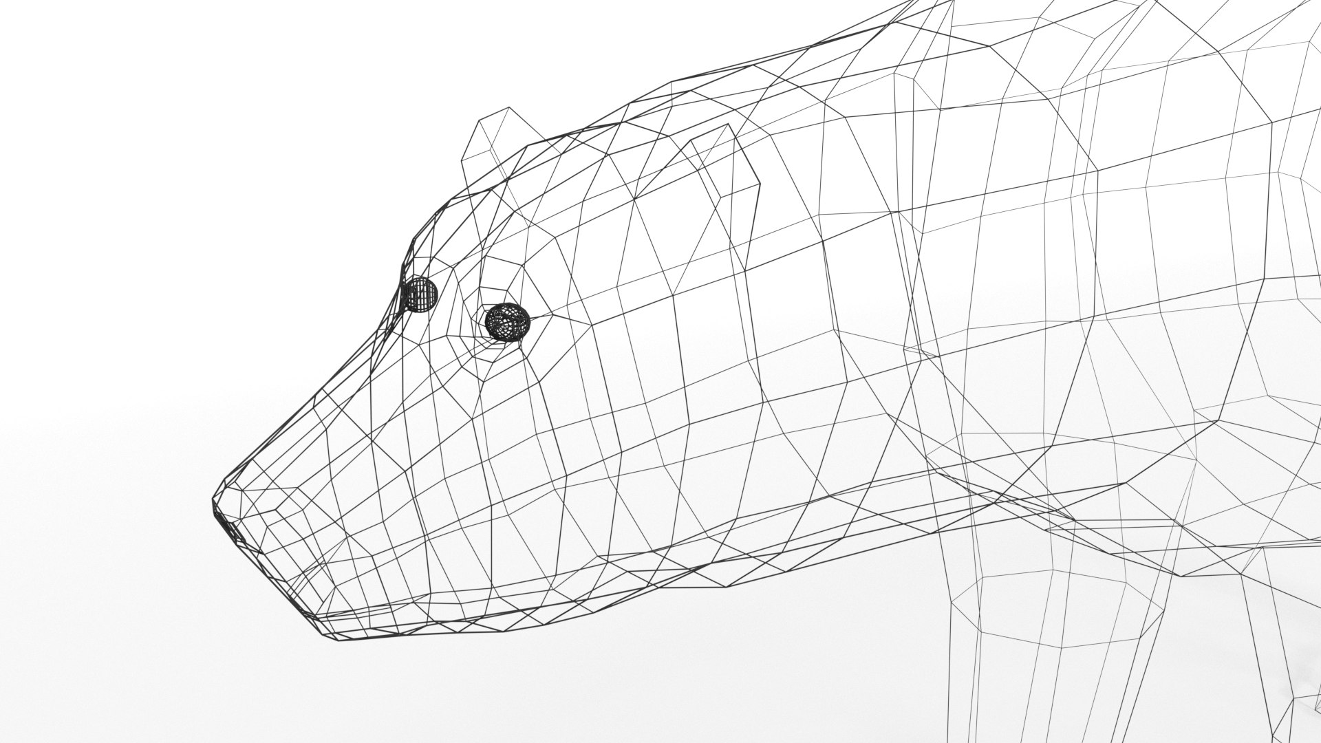 3D polar bear model https://p.turbosquid.com/ts-thumb/eF/a5qnMz/7um1brBx/polarbear20wire/png/1570392587/1920x1080/fit_q87/91c5fc81e85c391261629b4fe7622245f08bbec6/polarbear20wire.jpg