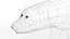 3D polar bear model