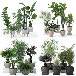 20 Photorealistic Flowers for Interiors - set 118 125 132 135