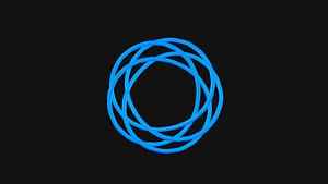 3D model Torus Knot 8