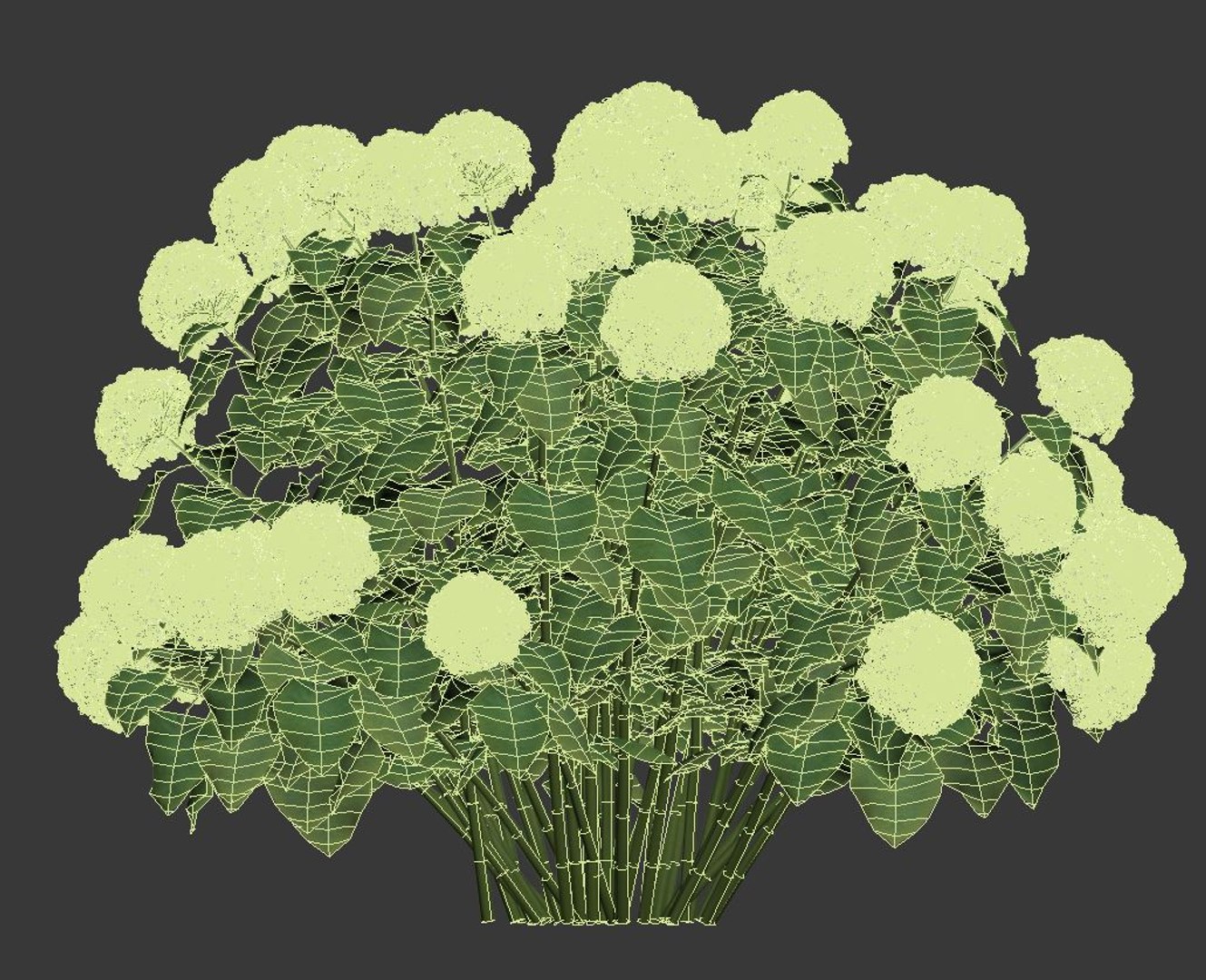 3D hydrangea arborescens model https://p.turbosquid.com/ts-thumb/eF/q5VFpi/FXxtKdv4/wire/jpg/1539892639/1920x1080/fit_q87/66ce4d9b31326812a6a343c358bff3b9b52dc87f/wire.jpg