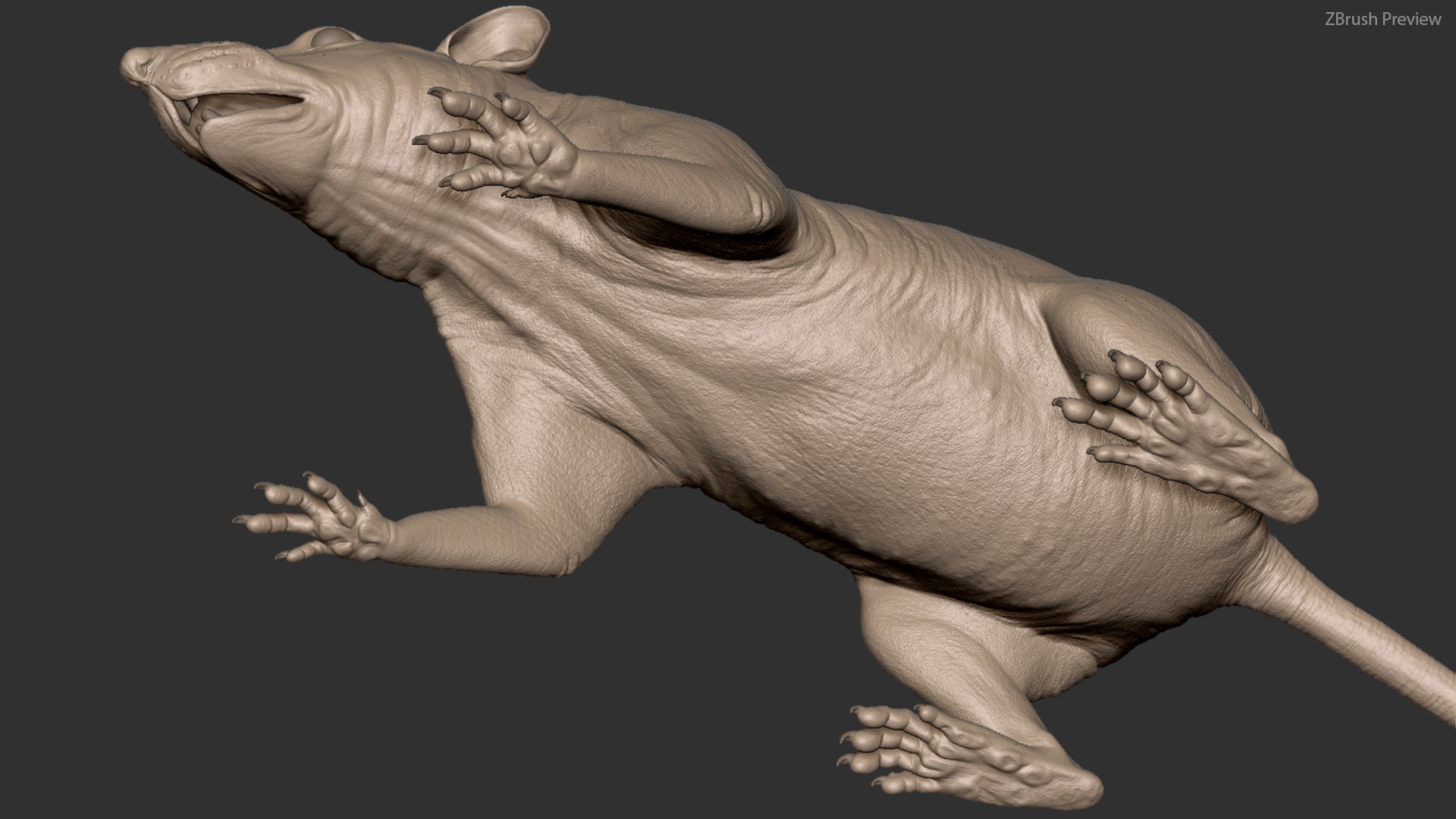 Rat skin model - TurboSquid 1670890