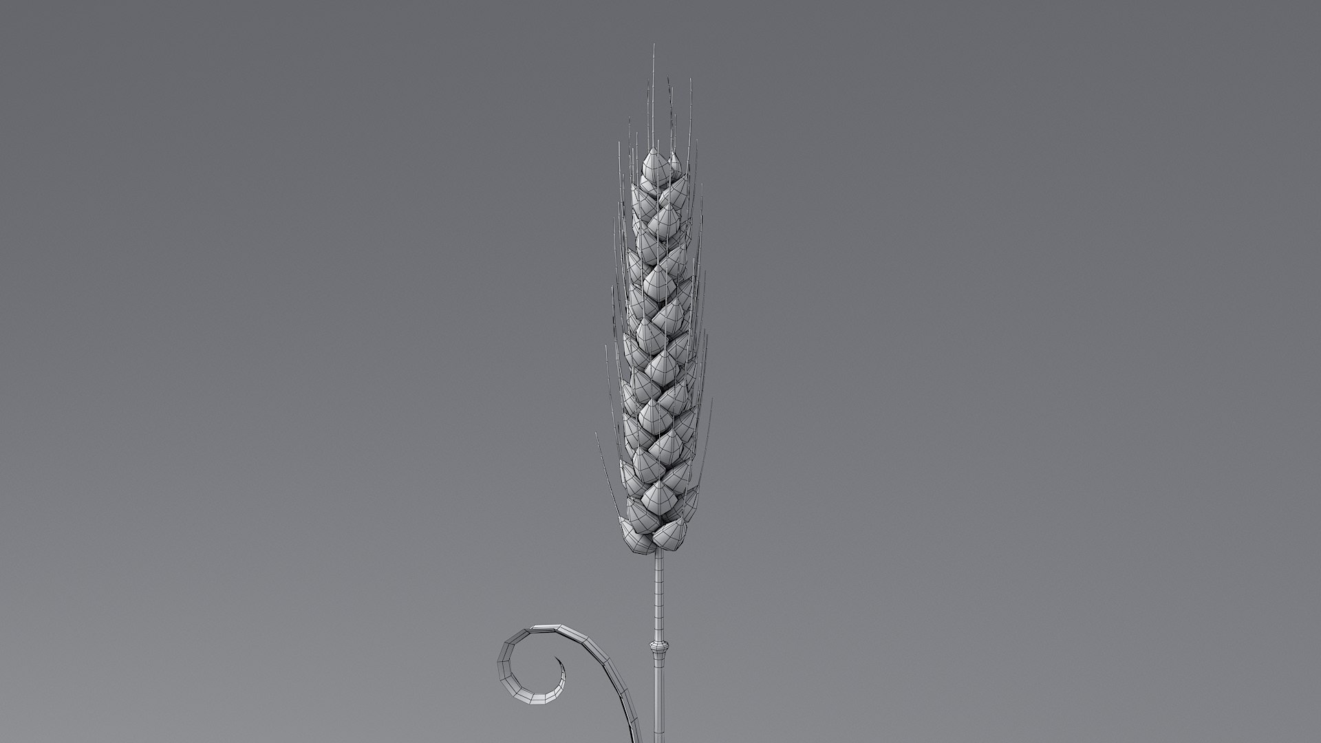 Cartoon Wheat Spikelet 02 model https://p.turbosquid.com/ts-thumb/eF/z8brD2/OX/wheat_0036/jpg/1680442897/1920x1080/fit_q87/39418cec309294e4ddb4f300ee800ce65f3c1ea0/wheat_0036.jpg