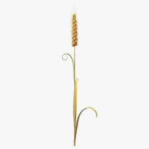 Cartoon Wheat Spikelet 02 model
