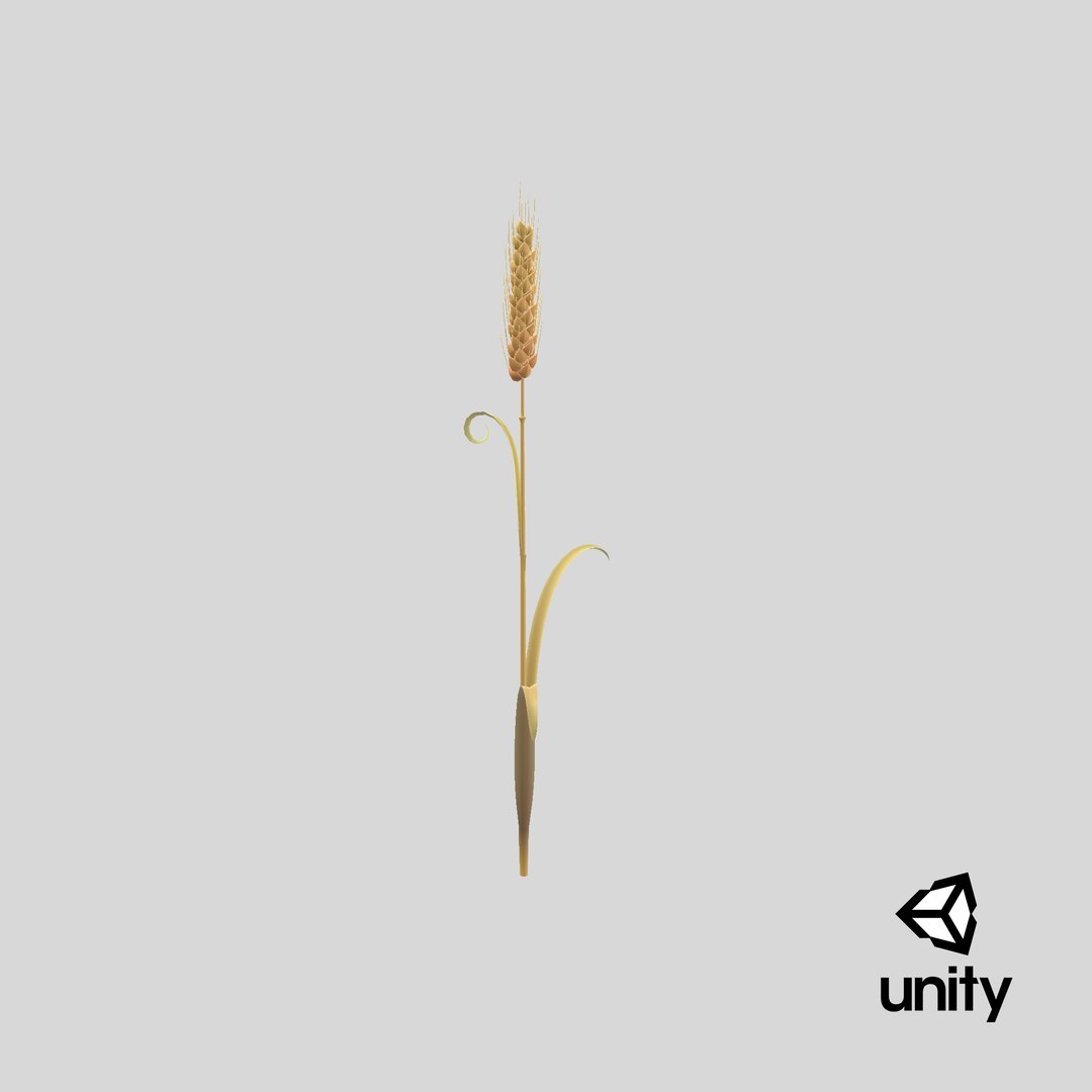 Cartoon Wheat Spikelet 02 model https://p.turbosquid.com/ts-thumb/eF/z8brD2/zo/stemcell_unity_render/png/1680679563/1920x1080/fit_q87/ba54a480cd7e897410be4835e6b6774d3e1be2b5/stemcell_unity_render.jpg
