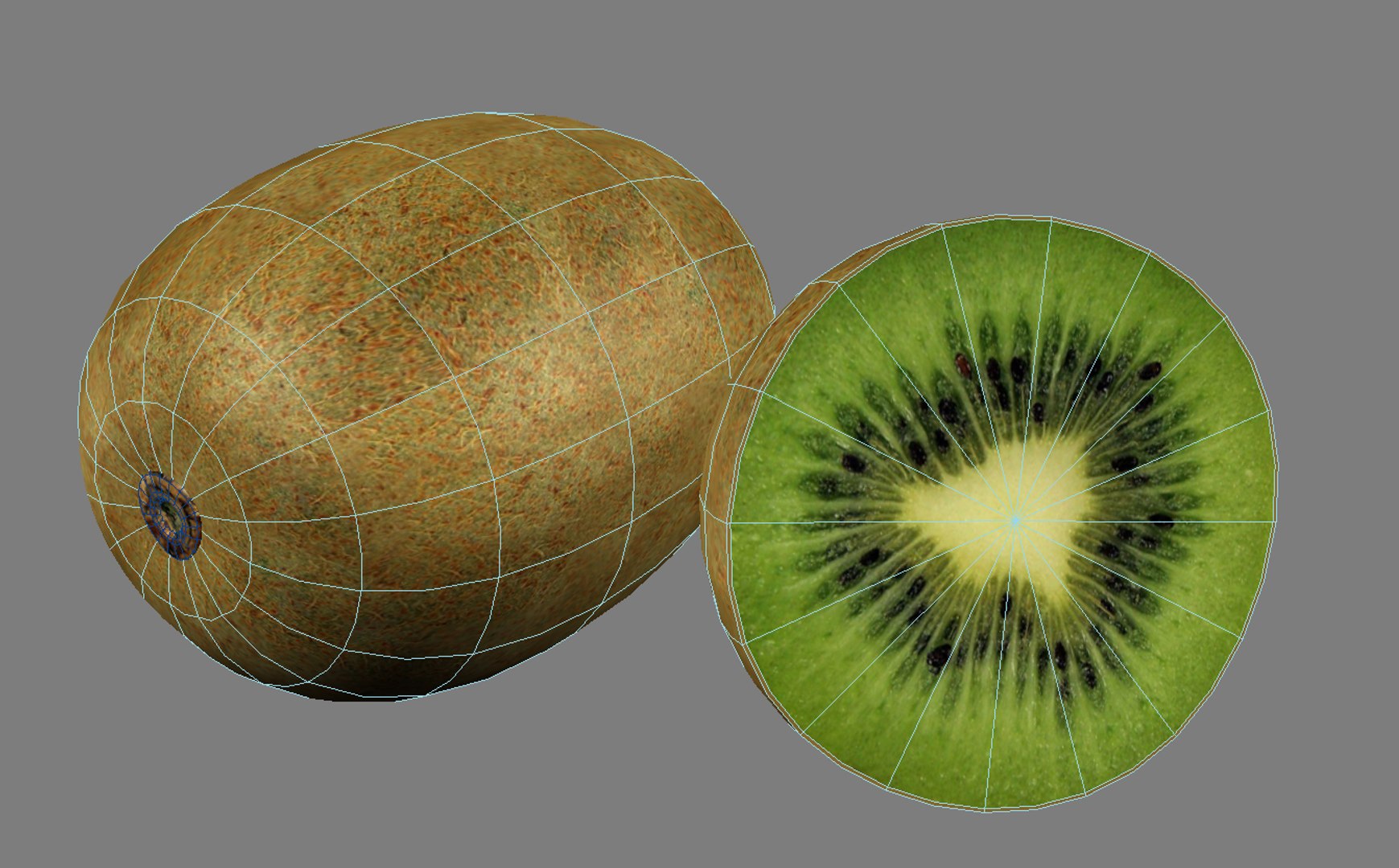 kiwi max https://p.turbosquid.com/ts-thumb/eF/zohwUu/KaBCj2Gx/kiwi_wire/jpg/1231159407/1920x1080/fit_q87/c495cf938bcaf8b2e6685d62582d01362b4a8067/kiwi_wire.jpg