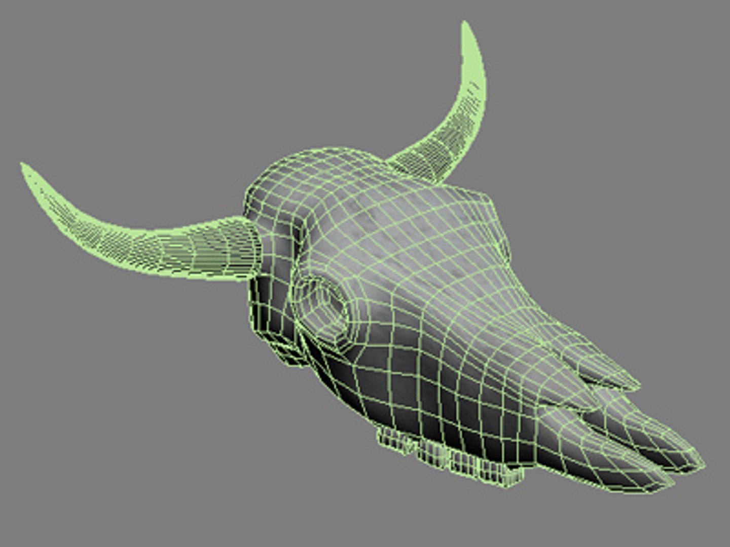 cow skull 3d 3ds https://p.turbosquid.com/ts-thumb/eG/CqrxO2/BBCVkYFm/cowskull2/jpg/1368545870/1920x1080/fit_q87/dbadafc0b0d2f1e4ac674a6d4864aa2d07432a2a/cowskull2.jpg