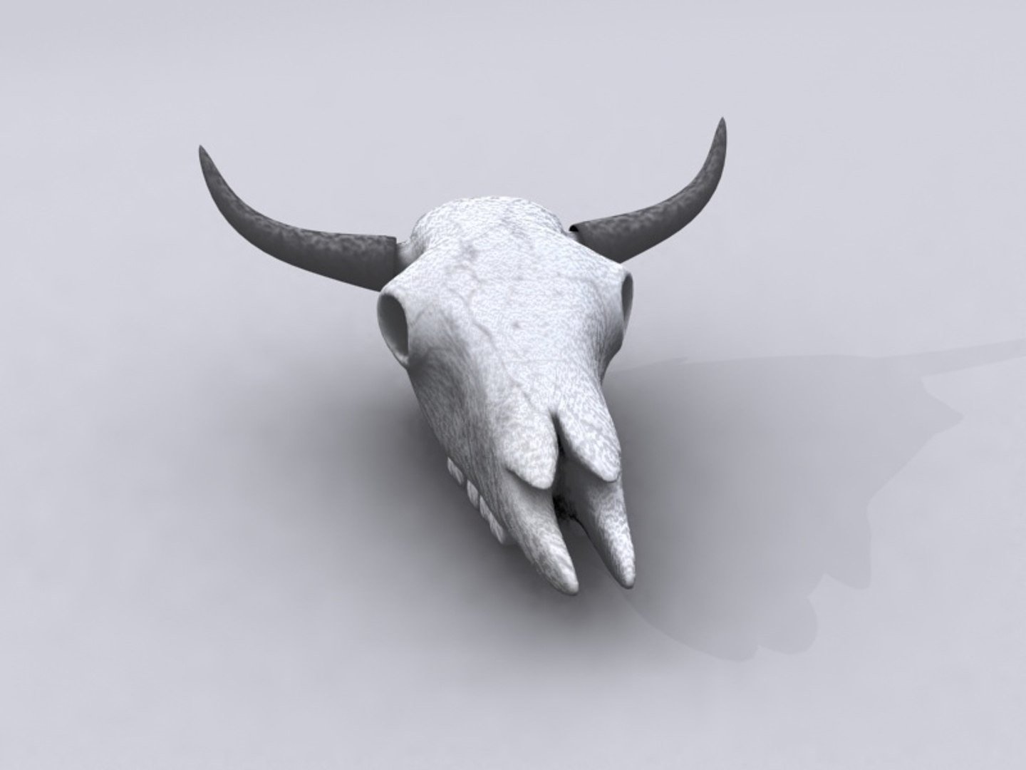 cow skull 3d 3ds https://p.turbosquid.com/ts-thumb/eG/CqrxO2/NF5Uj8cy/high0031/jpg/1368545843/1920x1080/fit_q87/476557e8698b9dd2226dd502c331d5fb1b9116b1/high0031.jpg